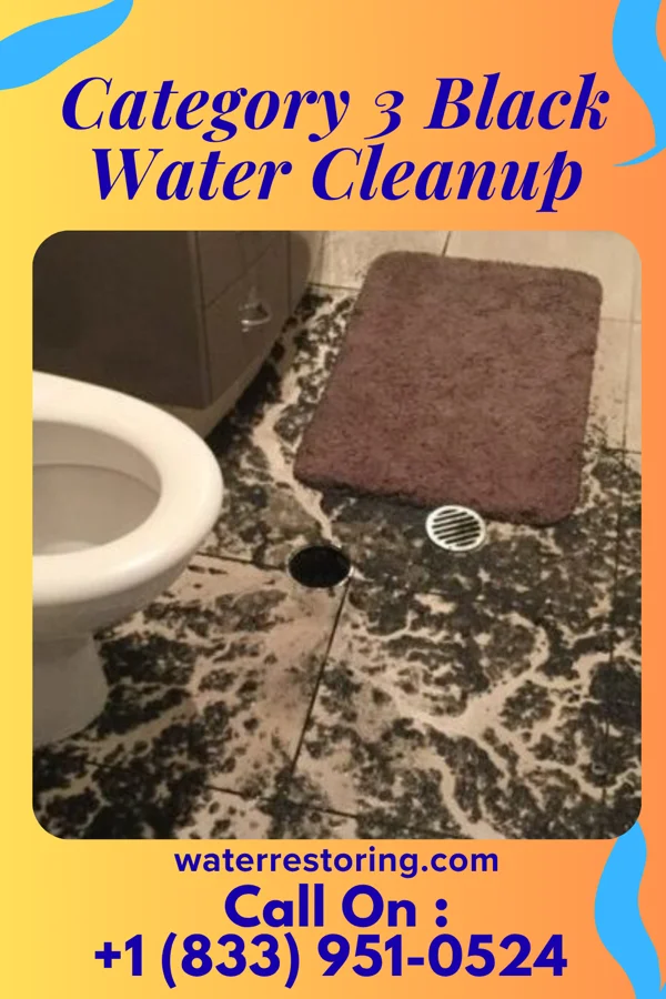 Category 3 Black Water Cleanup in Nescatunga, OK
