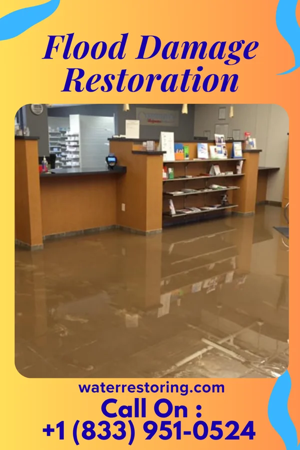Flood Damage Restoration in Nescatunga, OK