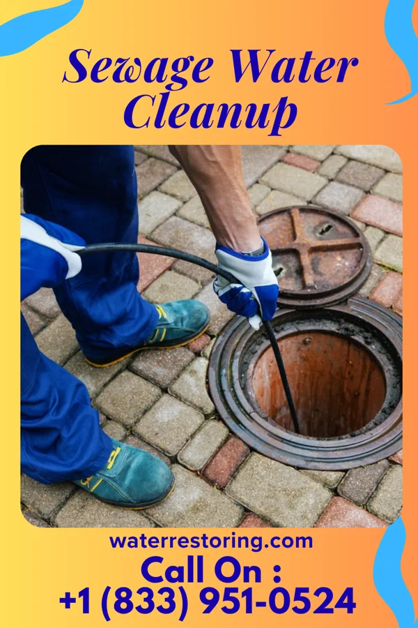 Sewage Water Cleanup in Nescatunga, OK