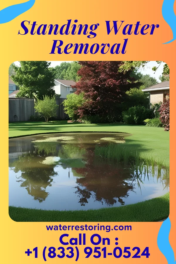 Standing Water Removal in Nescatunga, OK